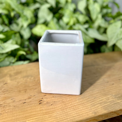 Contemporary Square Pot