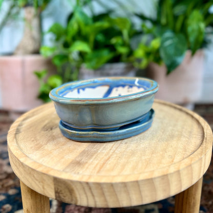 6" Bonsai Planter w/ Sacuer