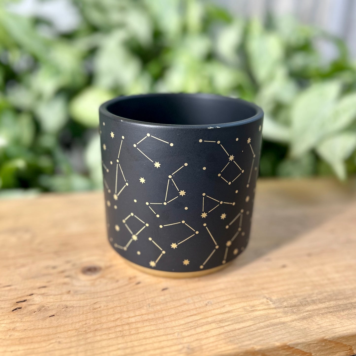 Constellation Pot