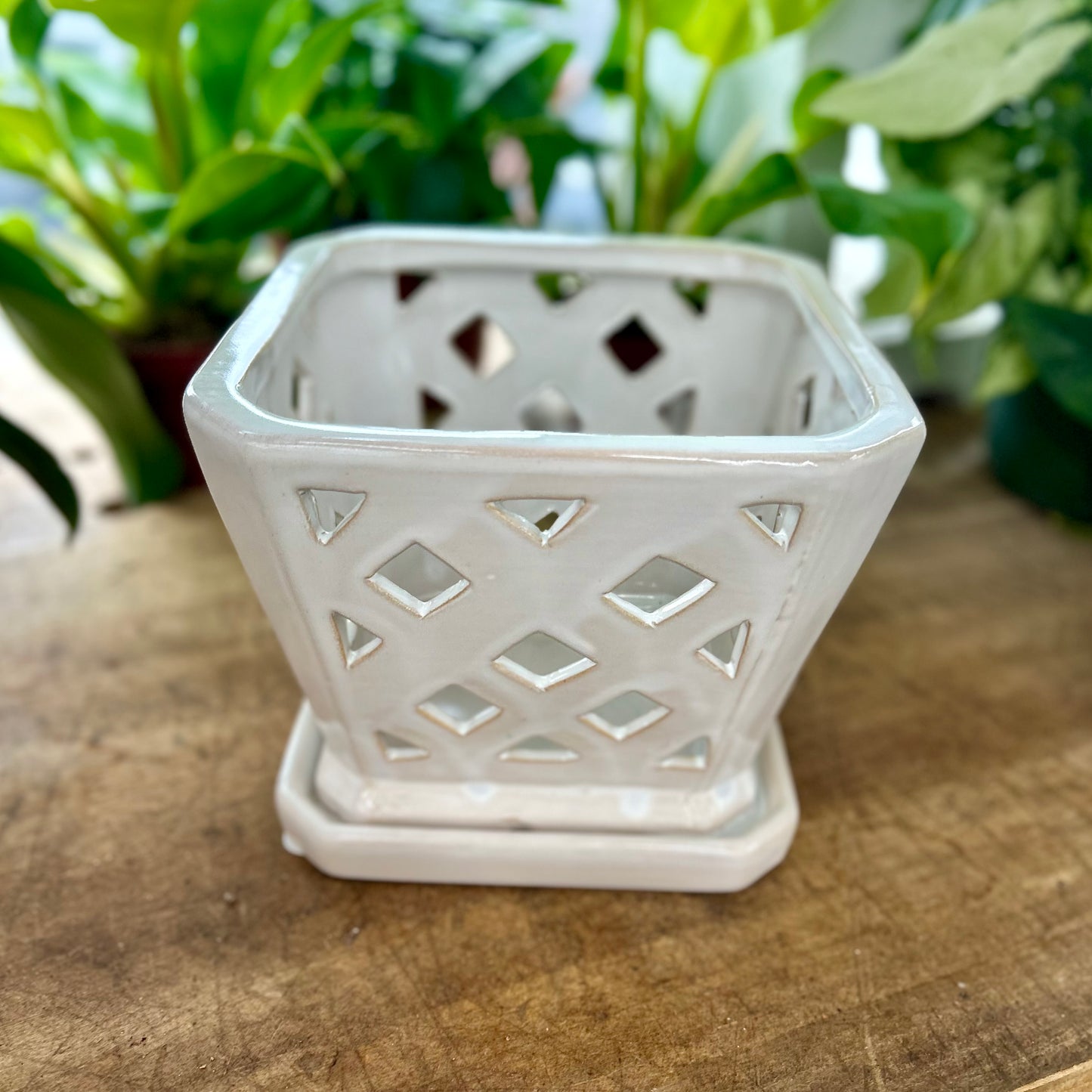 Square Diamond Orchid Pot