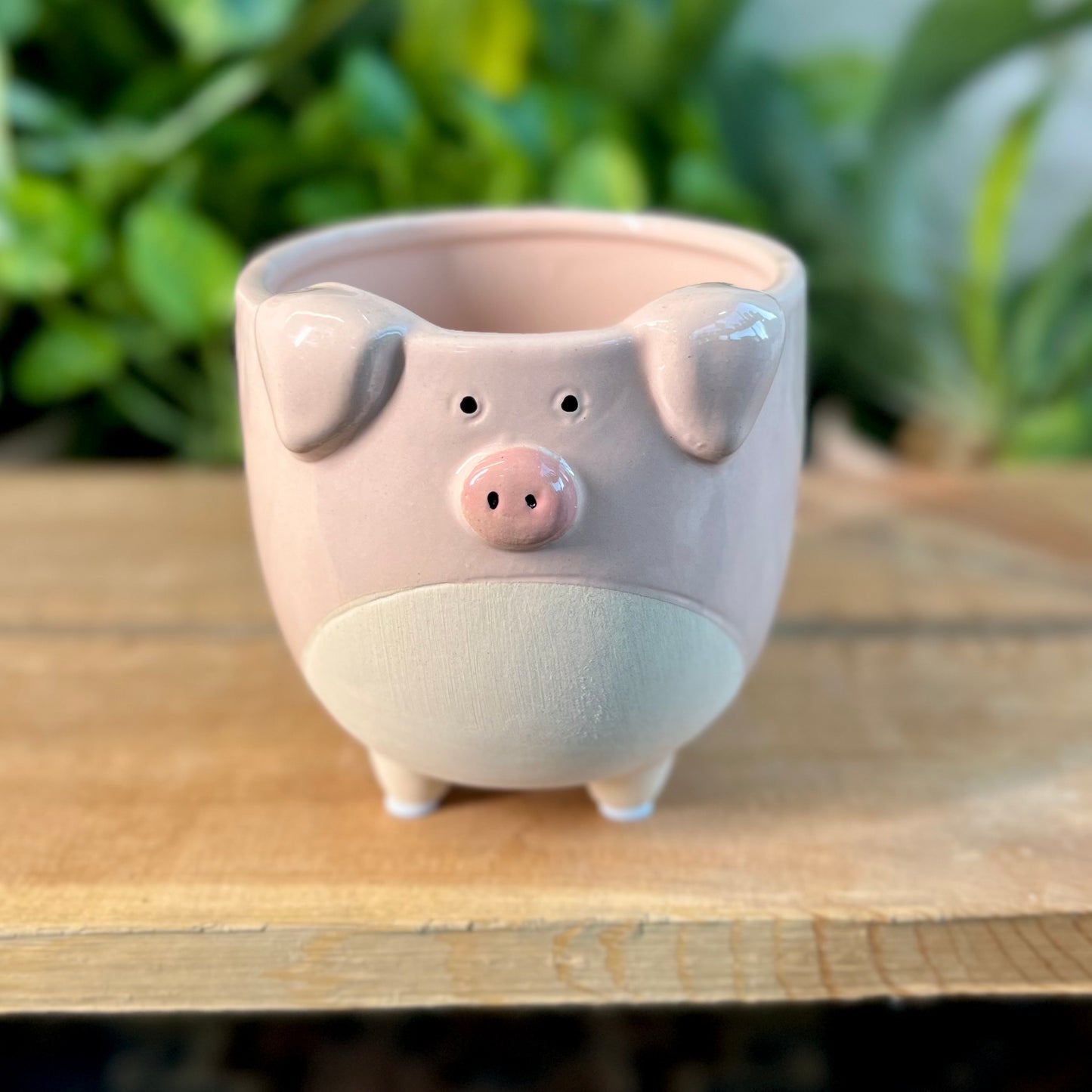 Pig w/ Legs Pot