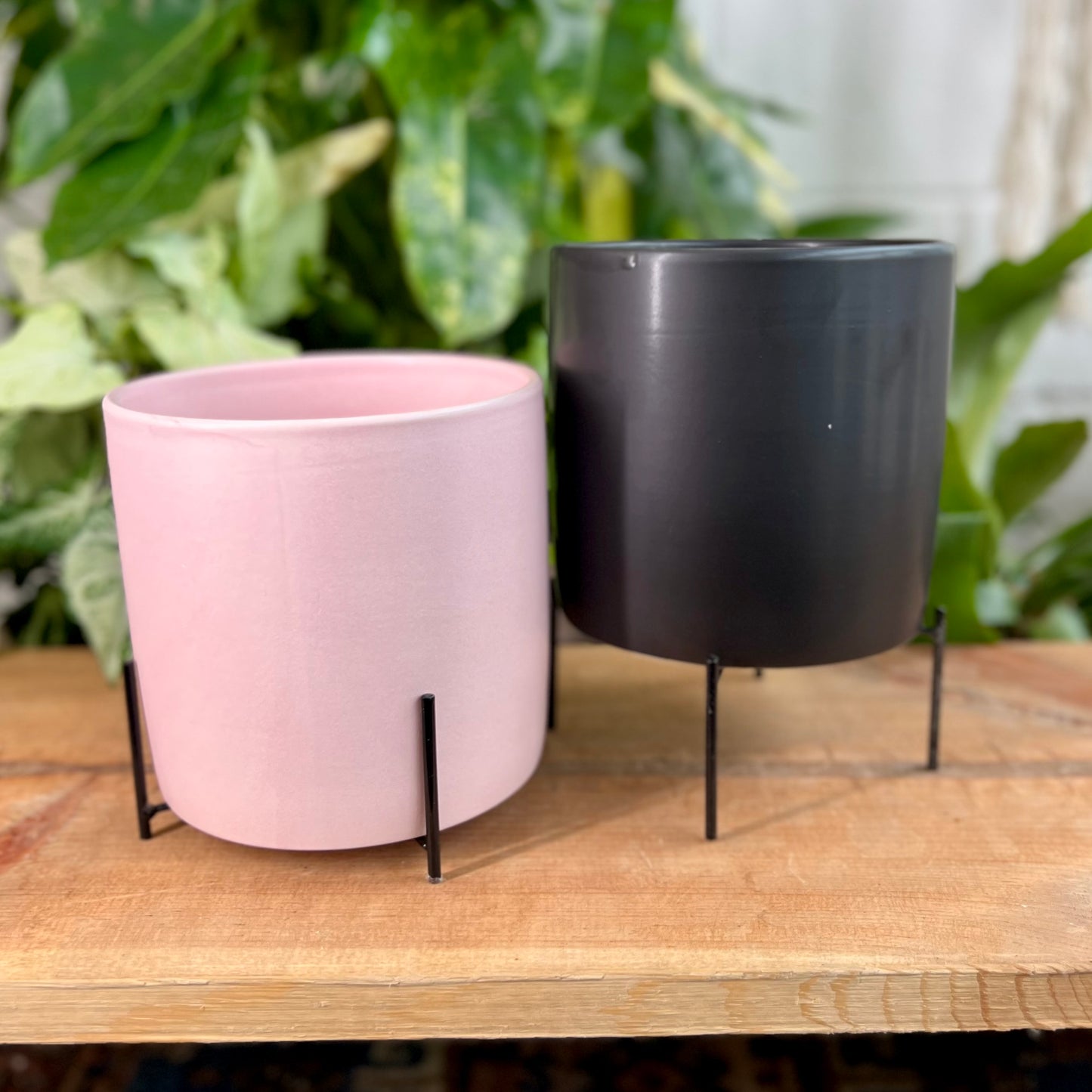 Reversible Stands Pot
