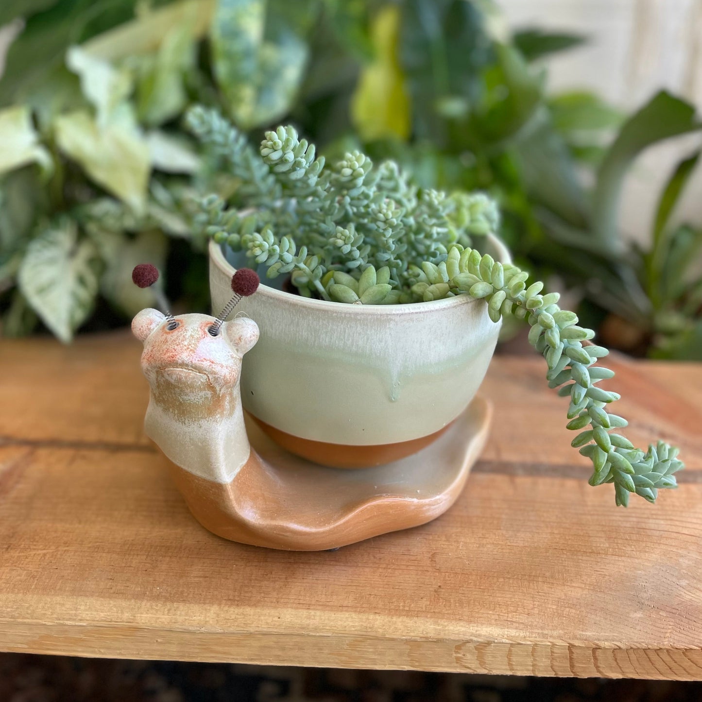Snail Planter