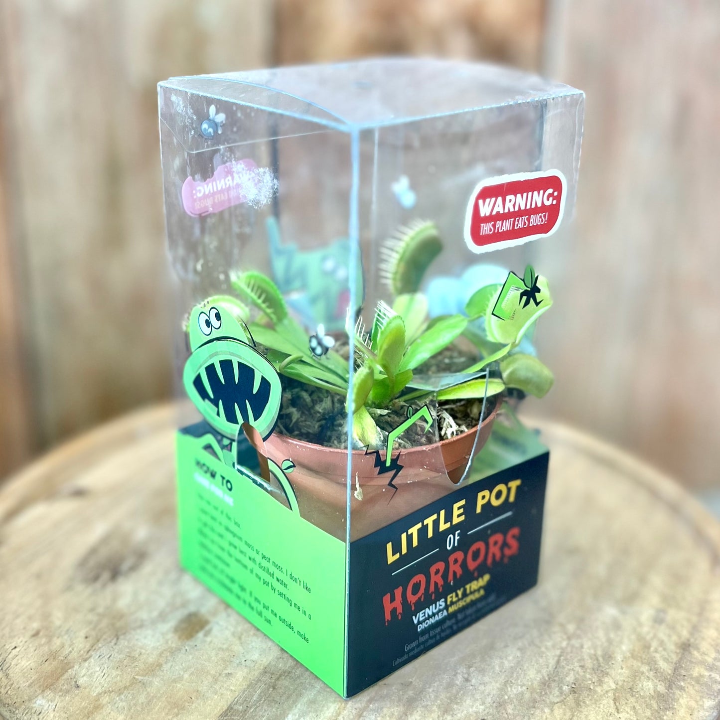 Venus Fly Trap