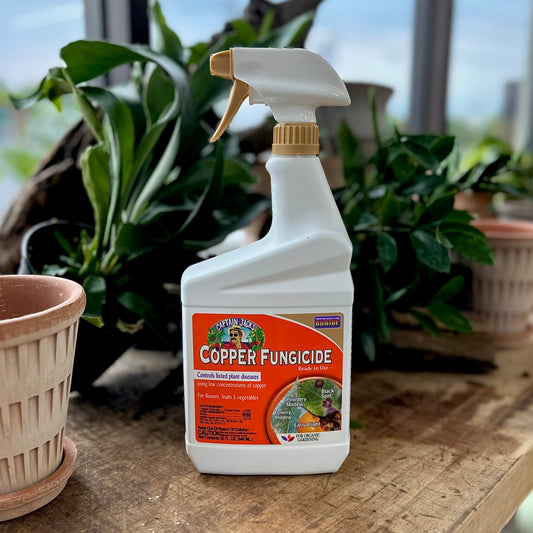 Bonide Copper Fungicide