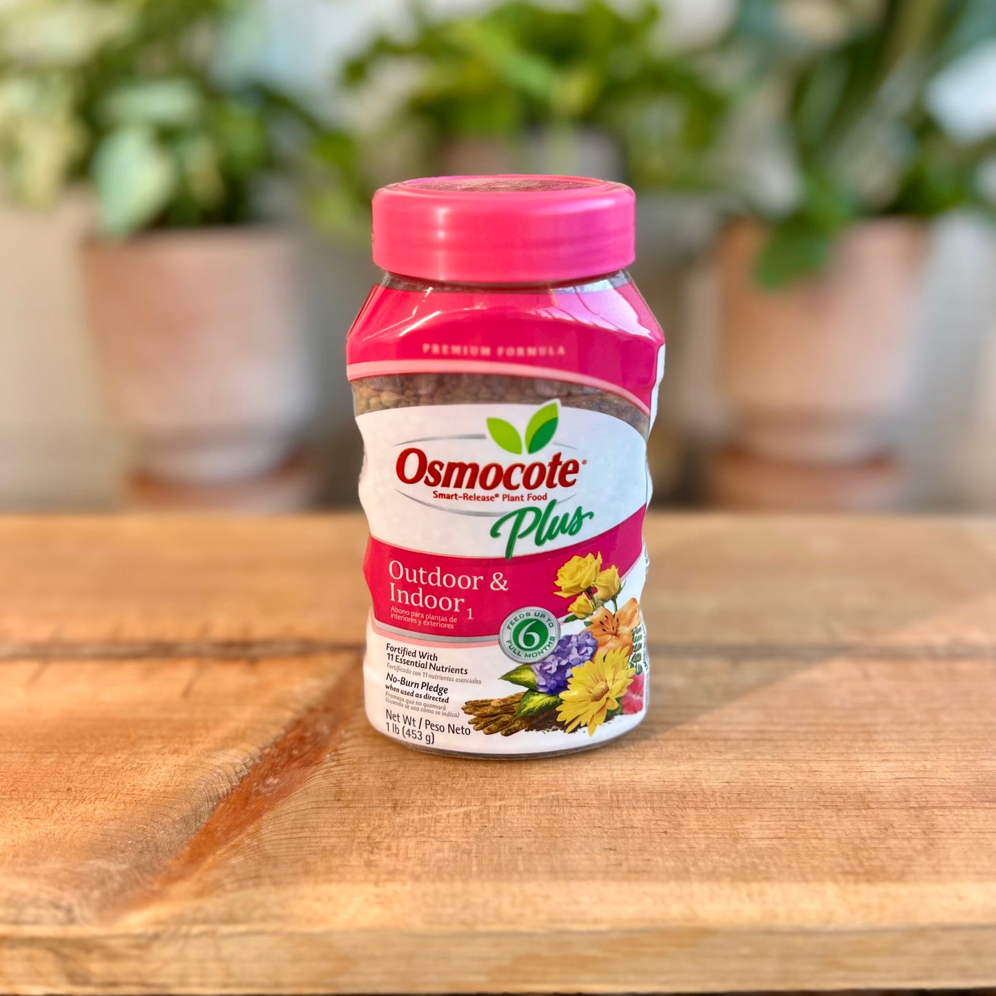 Osmocote Plus Indoor Plant Food