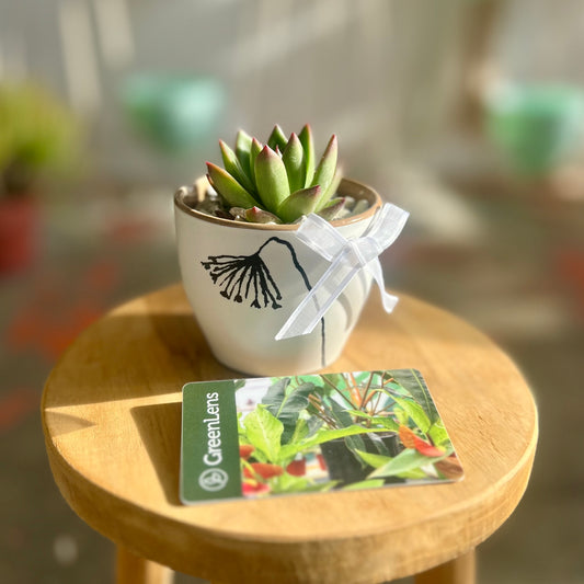 Mother’s Day Gift Card Combo #1A (local only)