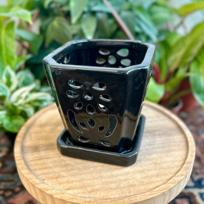 Floral Design Orchid Pot