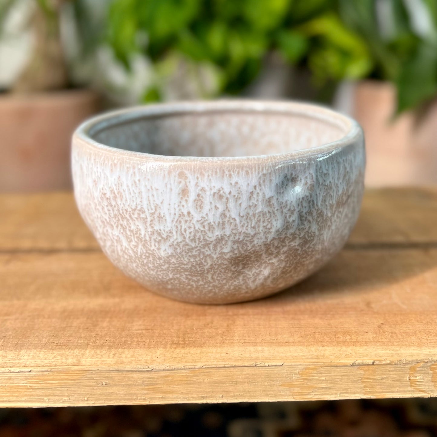 Lottie Bowl