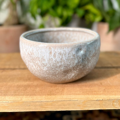 Lottie Bowl
