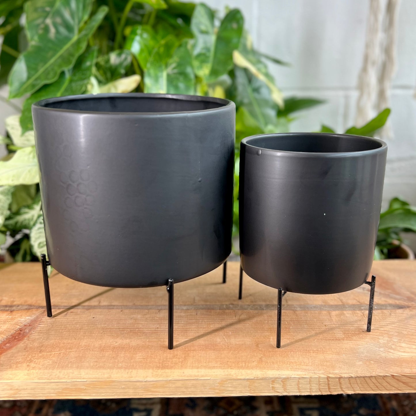 Reversible Stands Pot