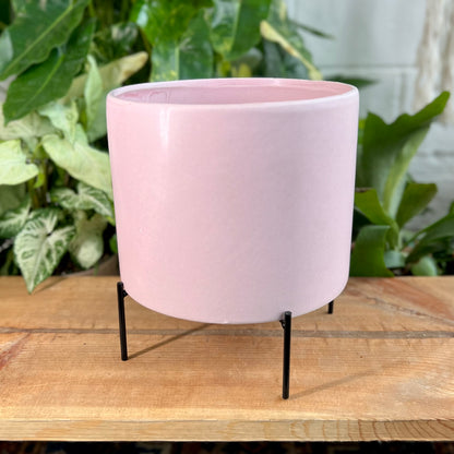 Reversible Stands Pot