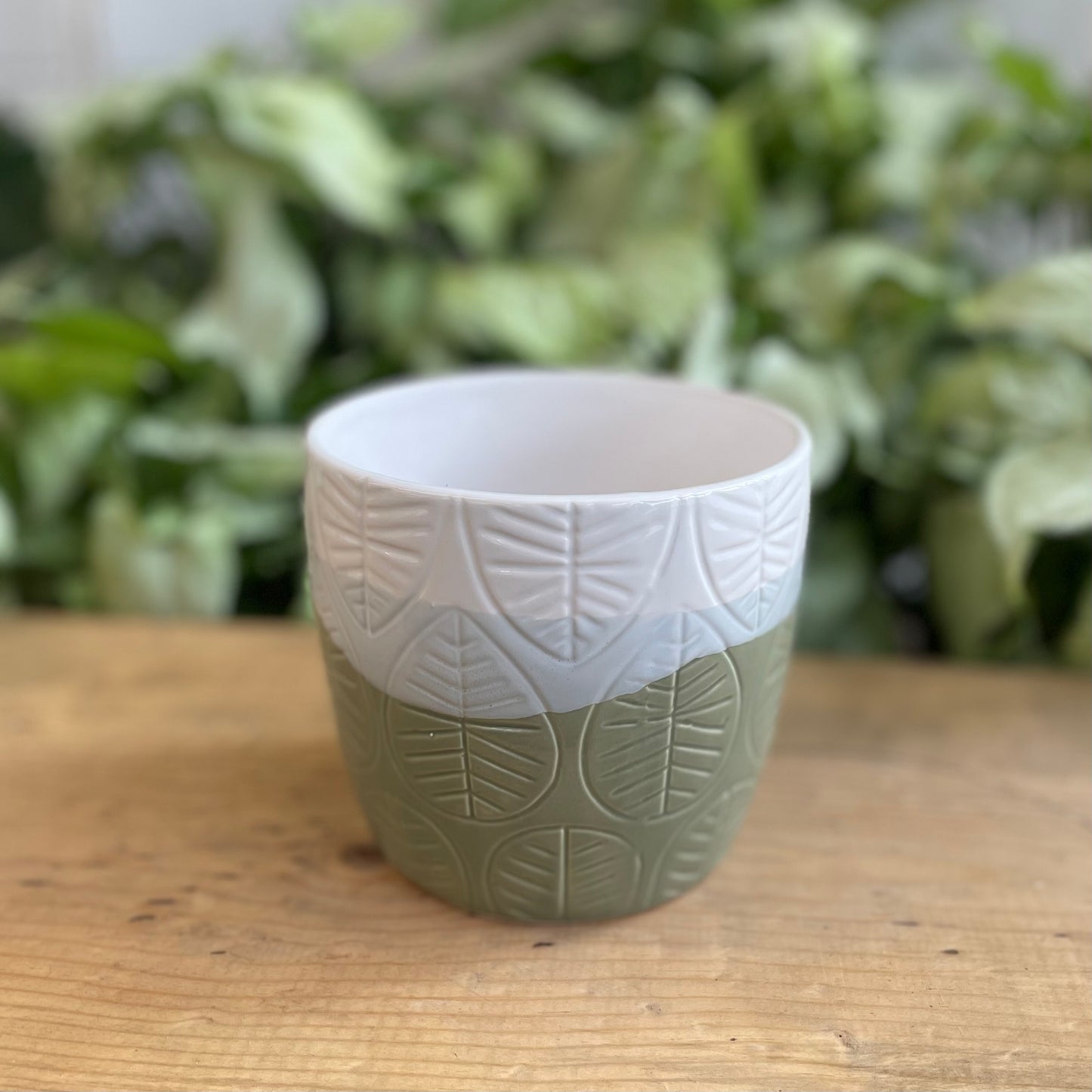 Tri-Color Leaf Pot