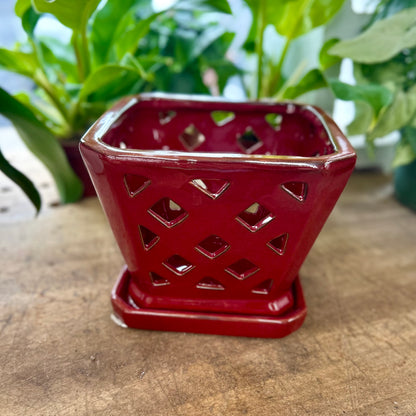 Square Diamond Orchid Pot