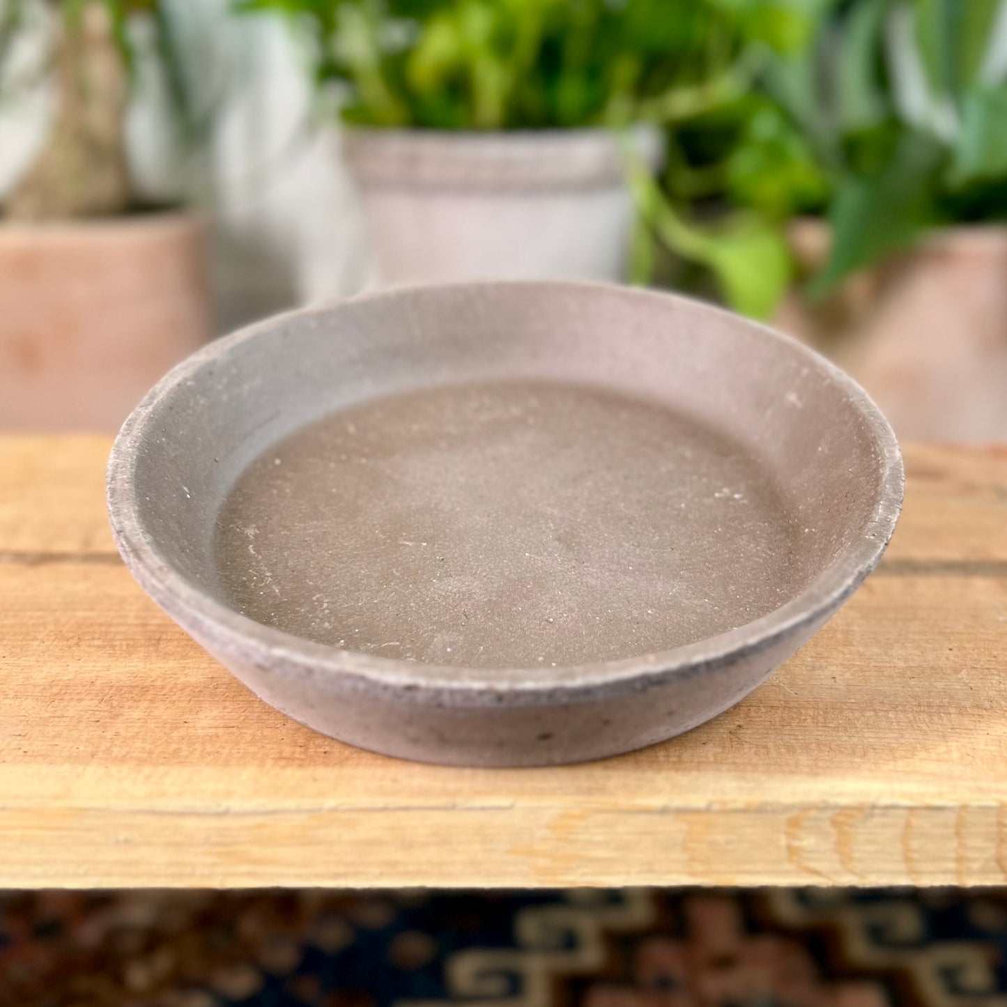 Bergs Standard Saucer