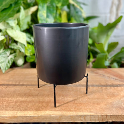 Reversible Stands Pot