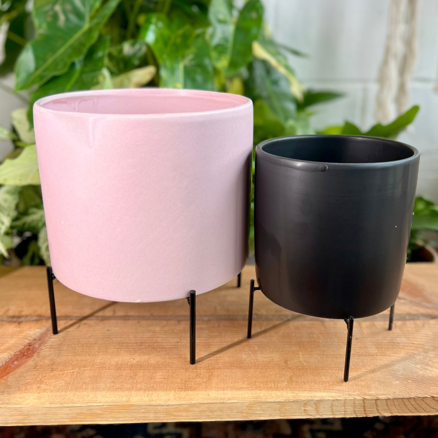 Reversible Stands Pot