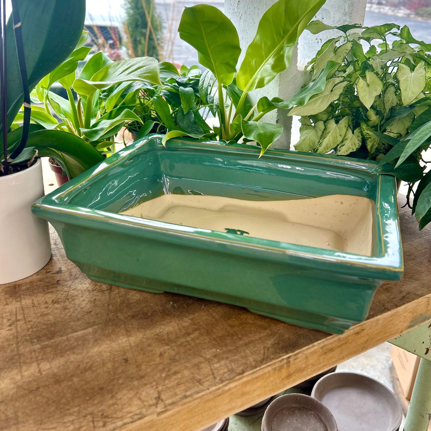 16.6" Bonsai Planter