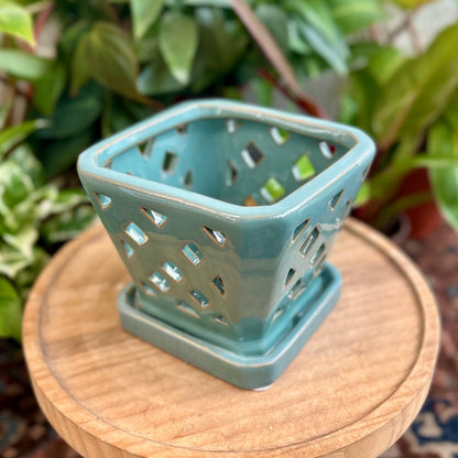 Square Diamond Orchid Pot