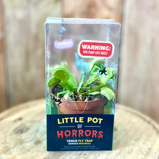 Venus Fly Trap