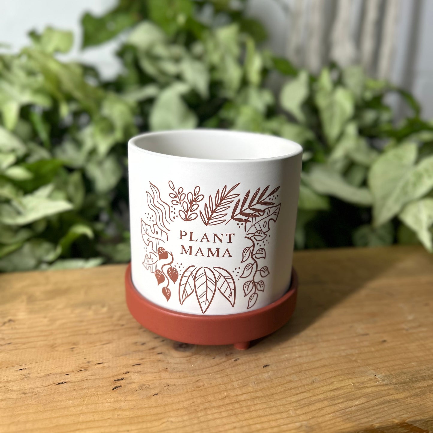 Plant Mama Pot