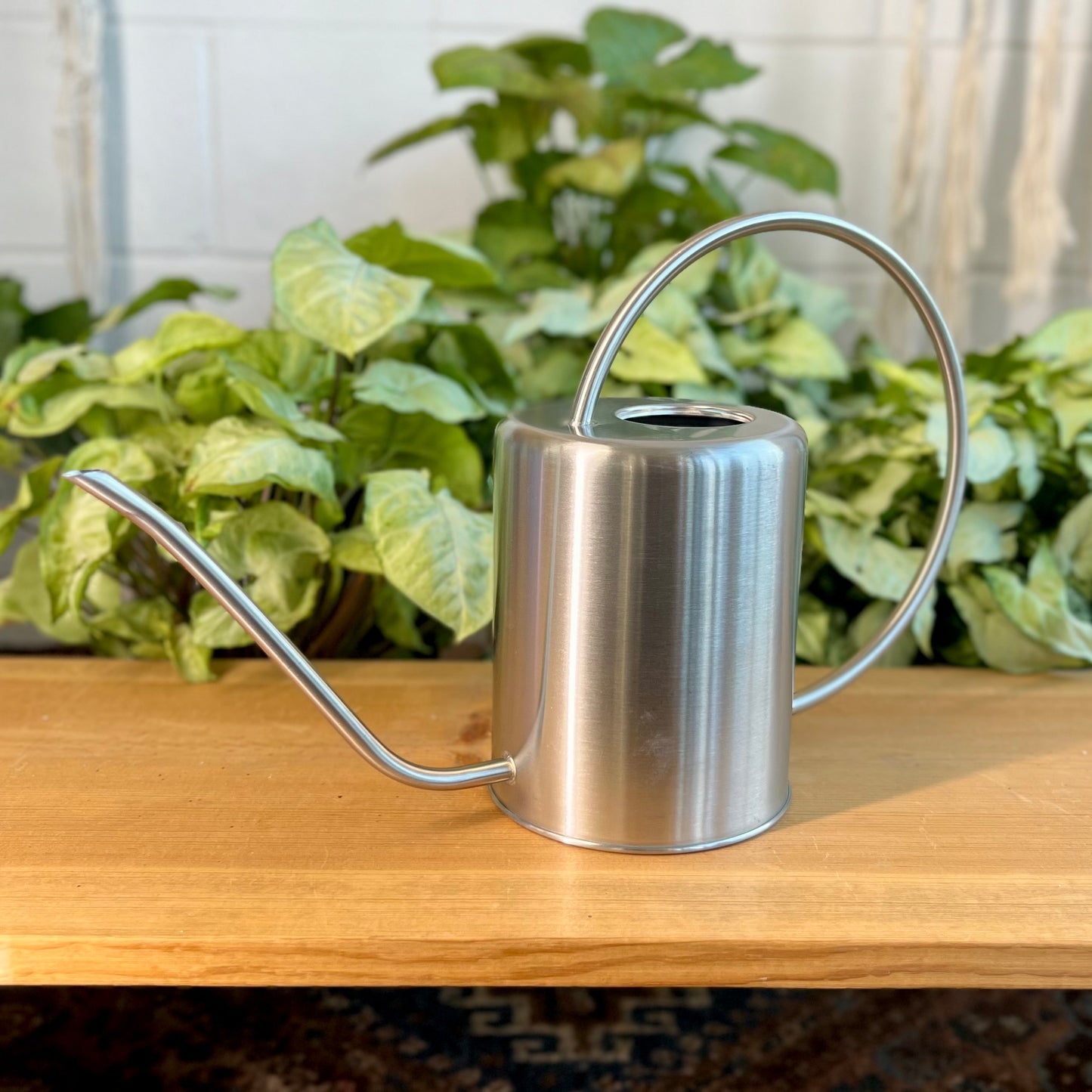 Kanso Stainless Steel Watering Can