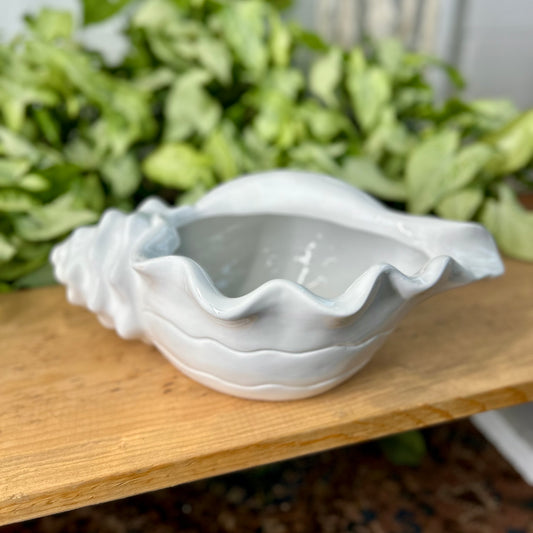 Seashell Pot