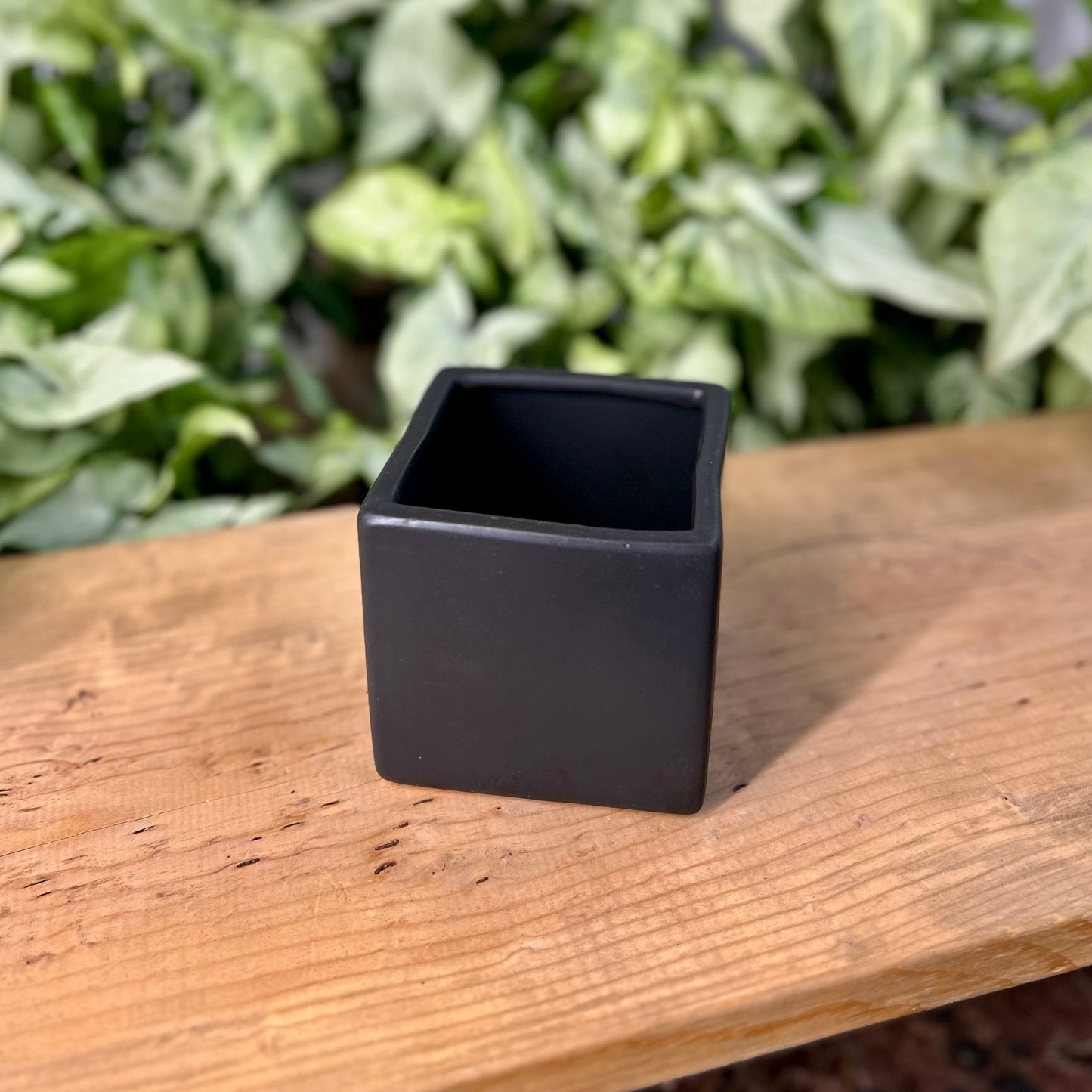 Contemporary Square Pot