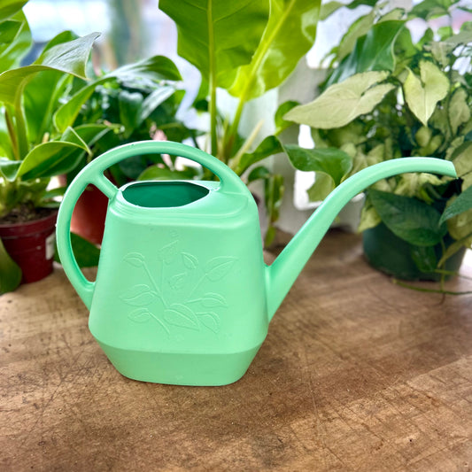 Bloem Aquarite Watering Cans