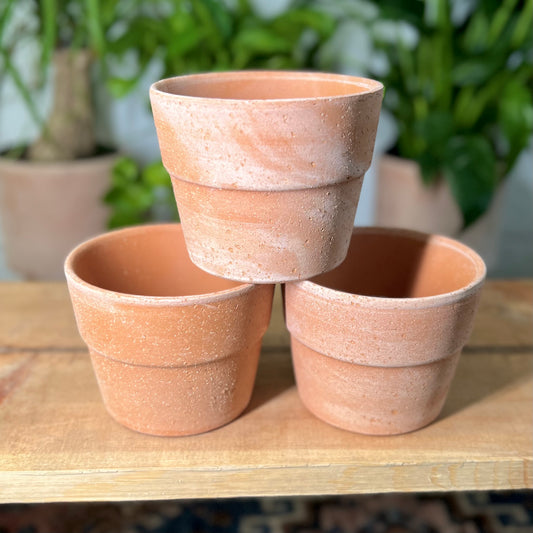Siena Pot Terracotta