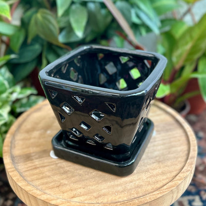 Square Diamond Orchid Pot