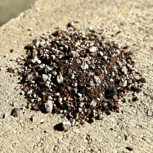 LeafLabs Cactus and Succulent Mix - All Purpose