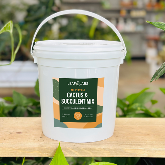 LeafLabs Cactus and Succulent Mix - All Purpose