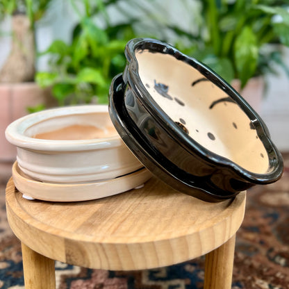 8"  Bonsai Planter w/ Saucer
