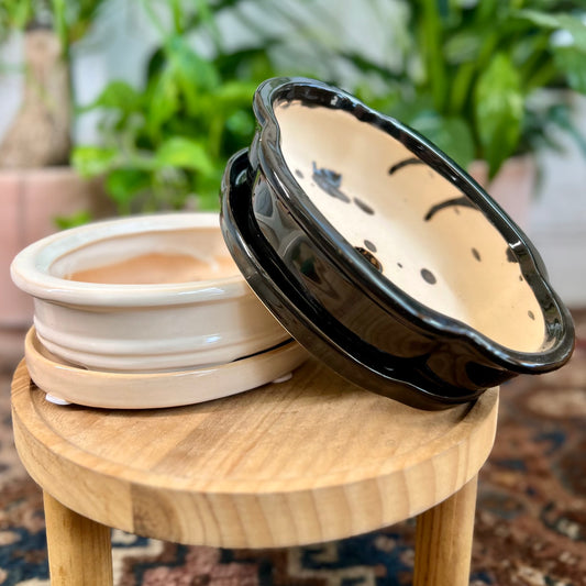 8"  Bonsai Planter w/ Saucer