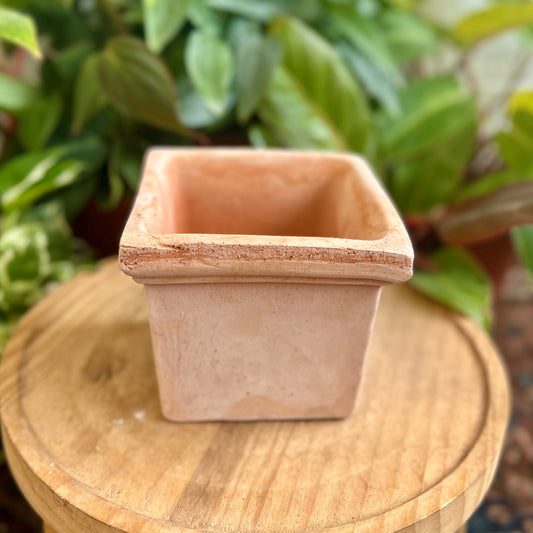 Siena Square Pot Terracotta