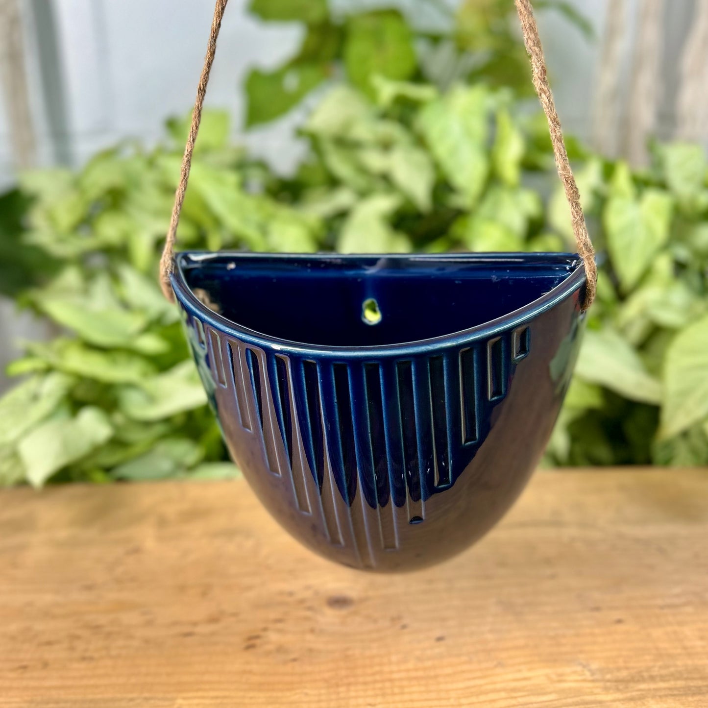 Hanging Ceramic Pot