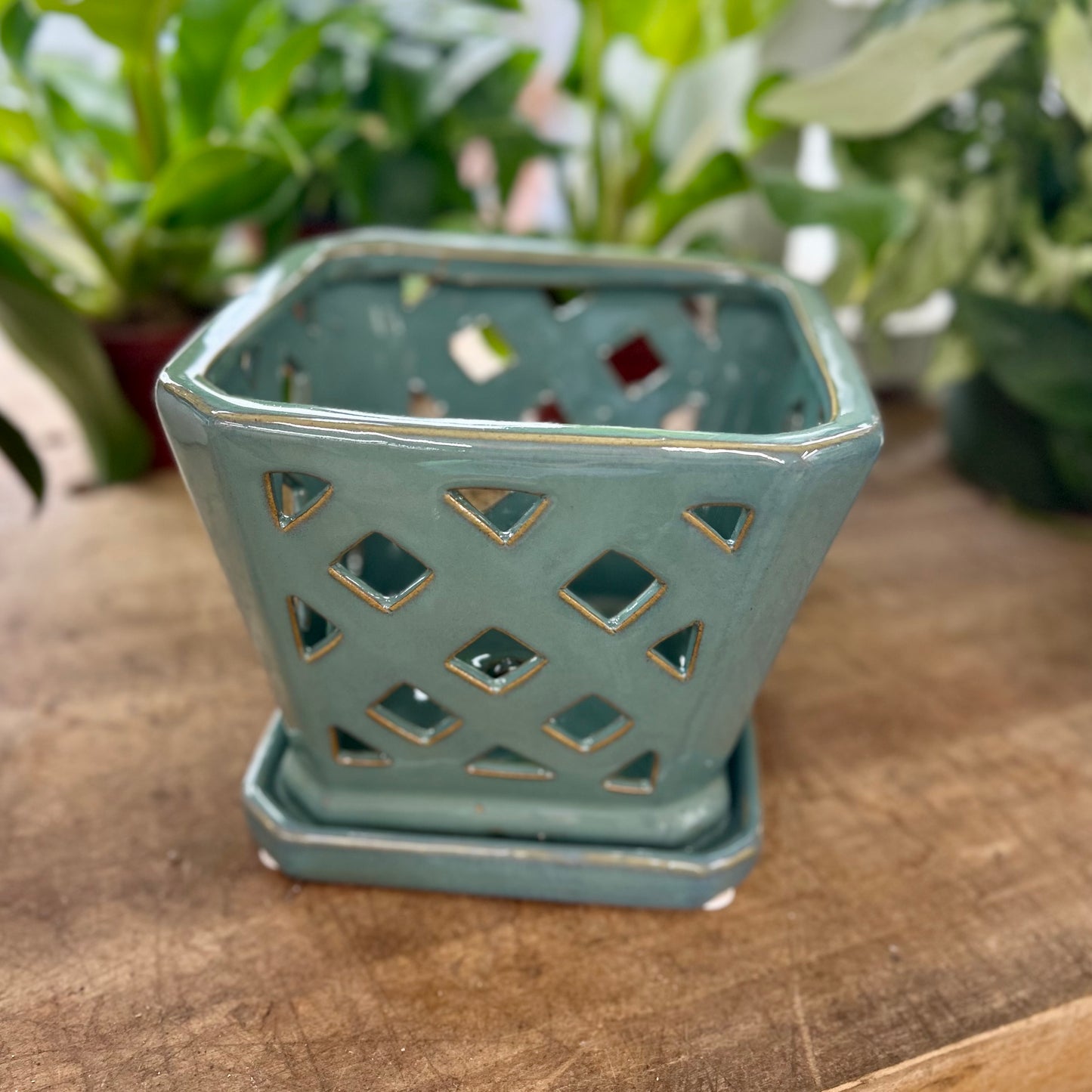 Square Diamond Orchid Pot