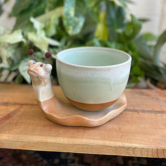 Snail Planter
