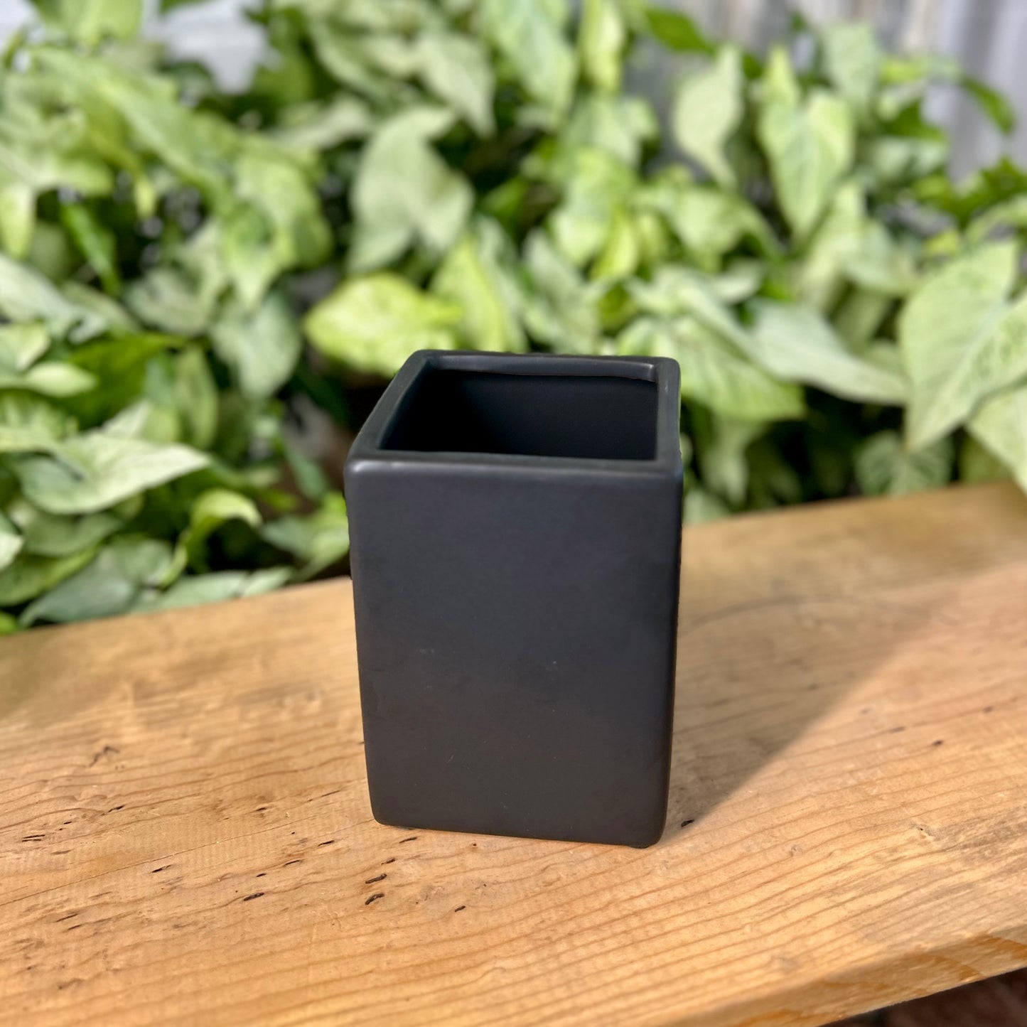 Contemporary Square Pot