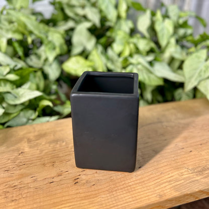 Contemporary Square Pot