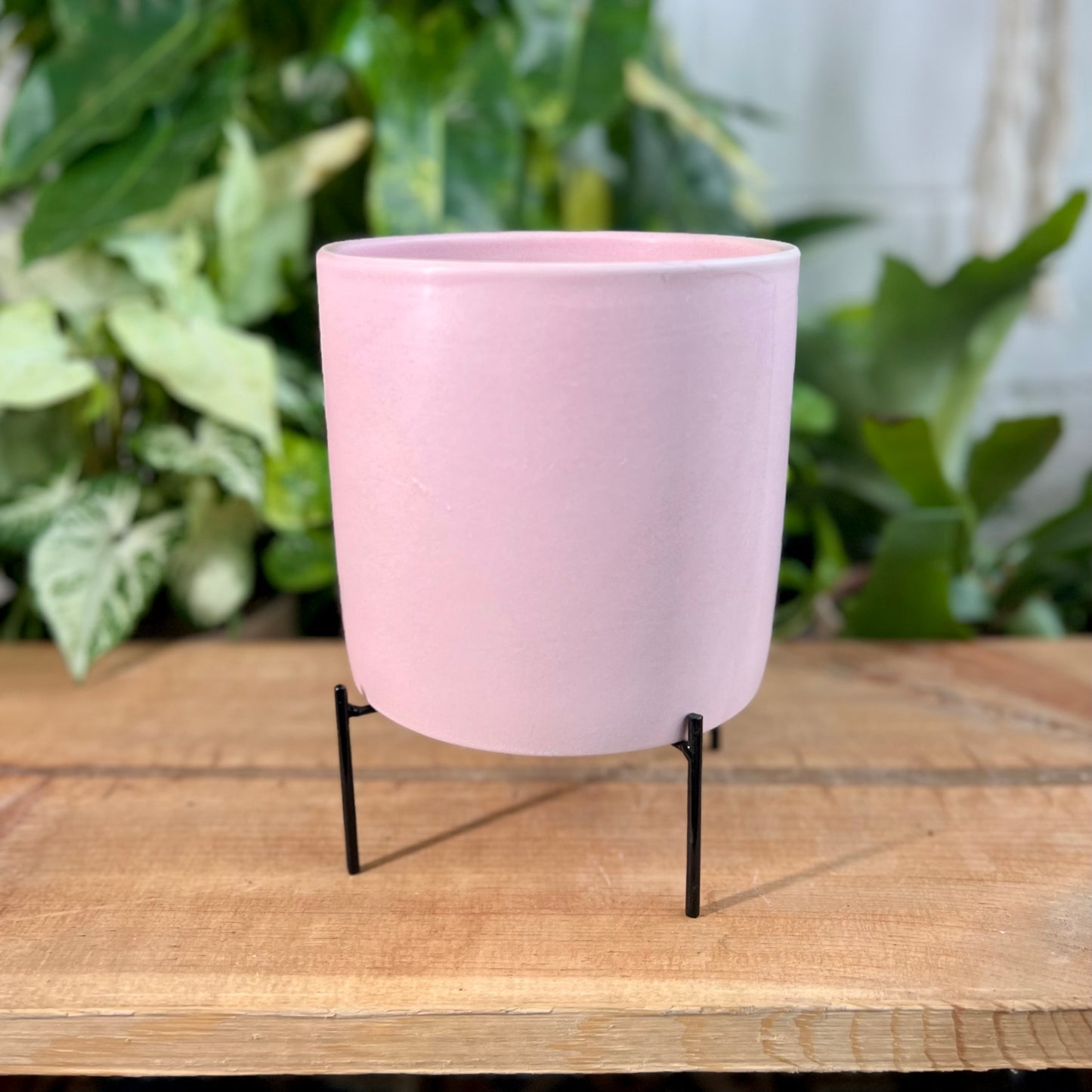 Reversible Stands Pot