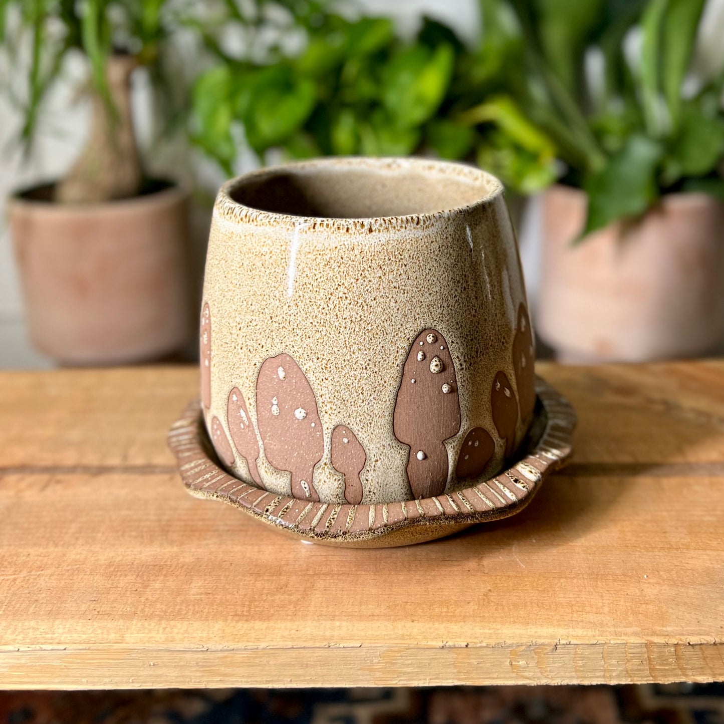 Wild Mushroom Pot w/ Saucer