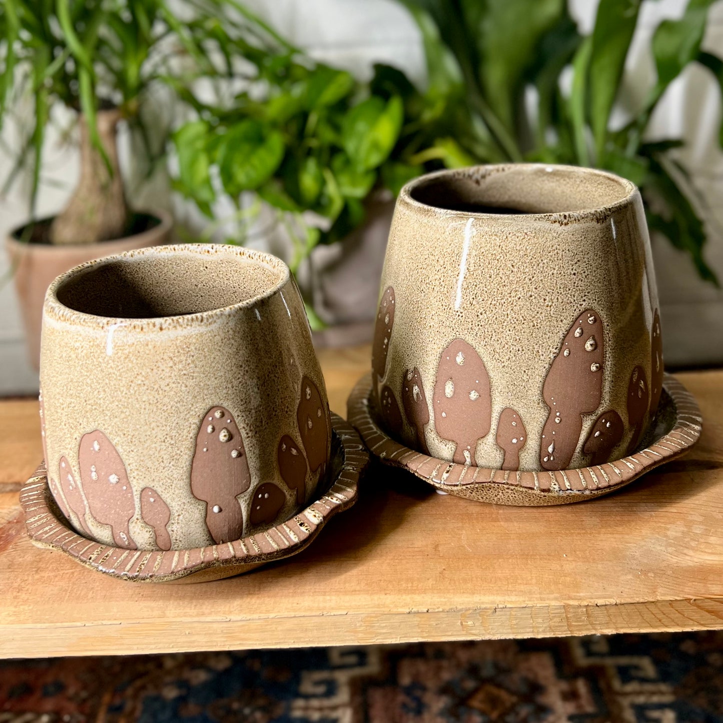 Wild Mushroom Pot w/ Saucer