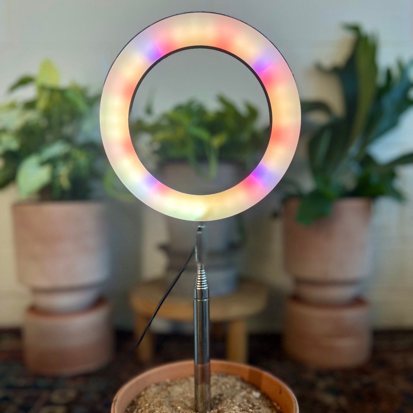 Extendable Plant Grow Light