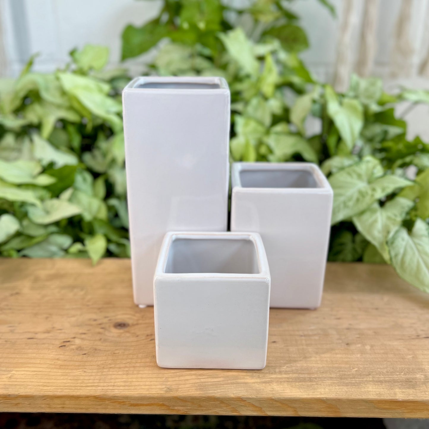 Contemporary Square Pot