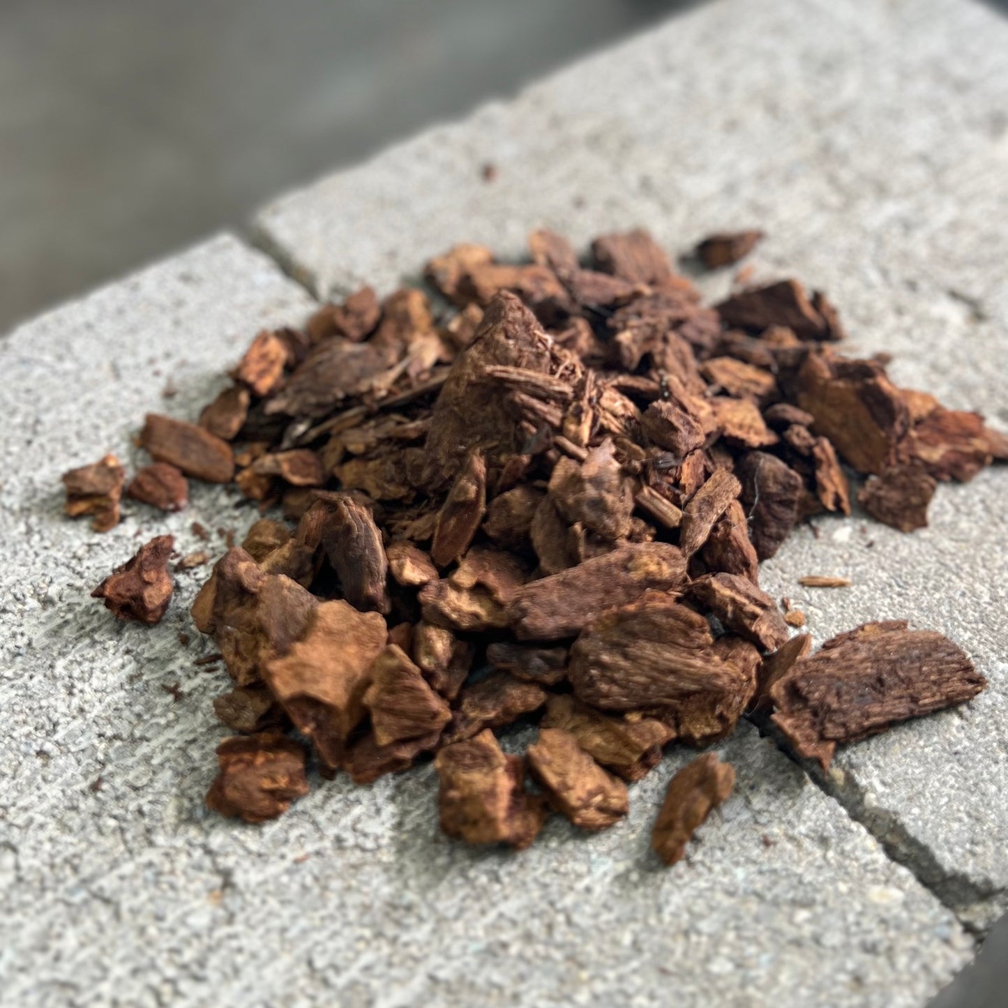 LeafLabs Orchid Bark