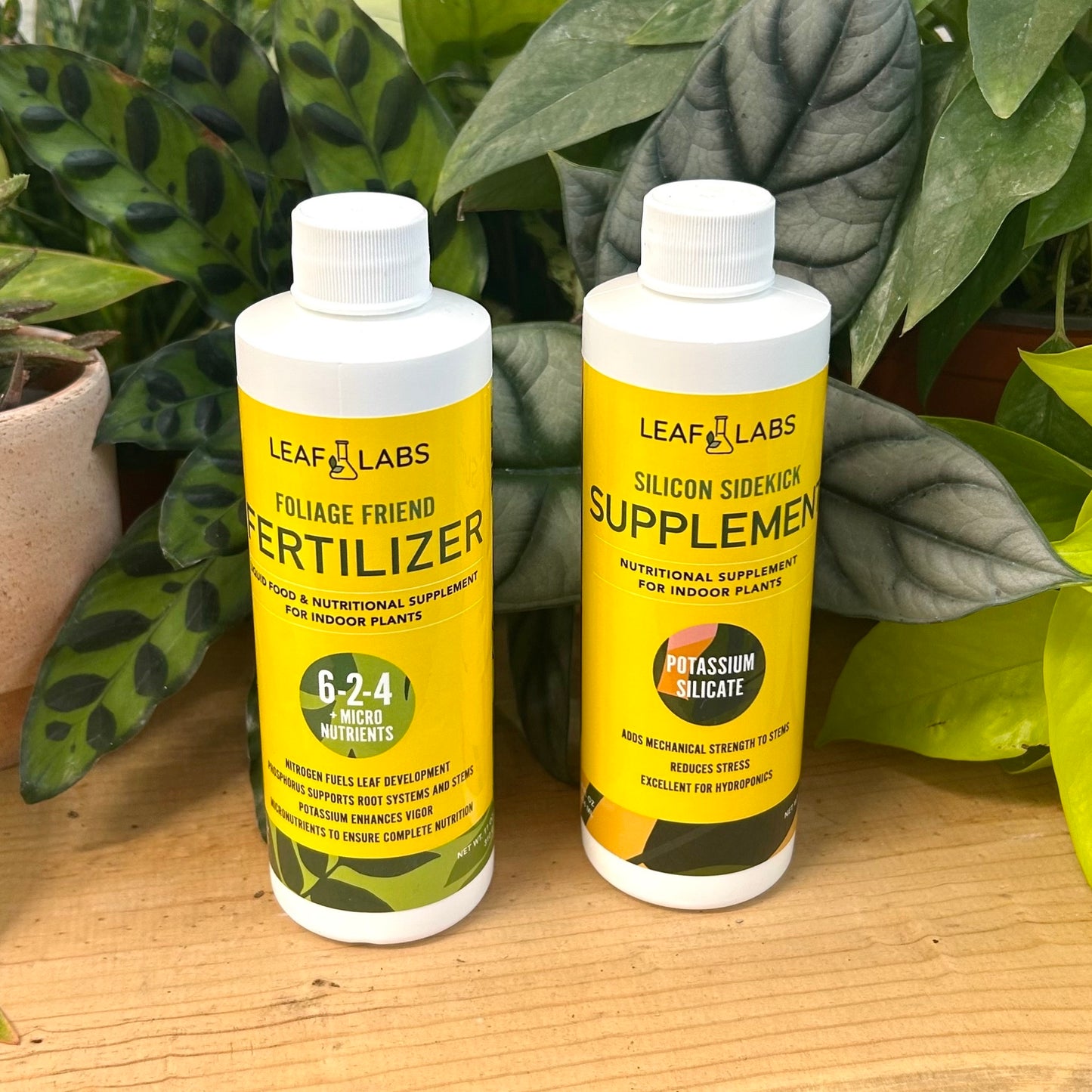 LeafLabs Fertilizer + Supplement Bundle