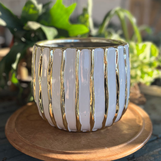 Gold Stripe Pot