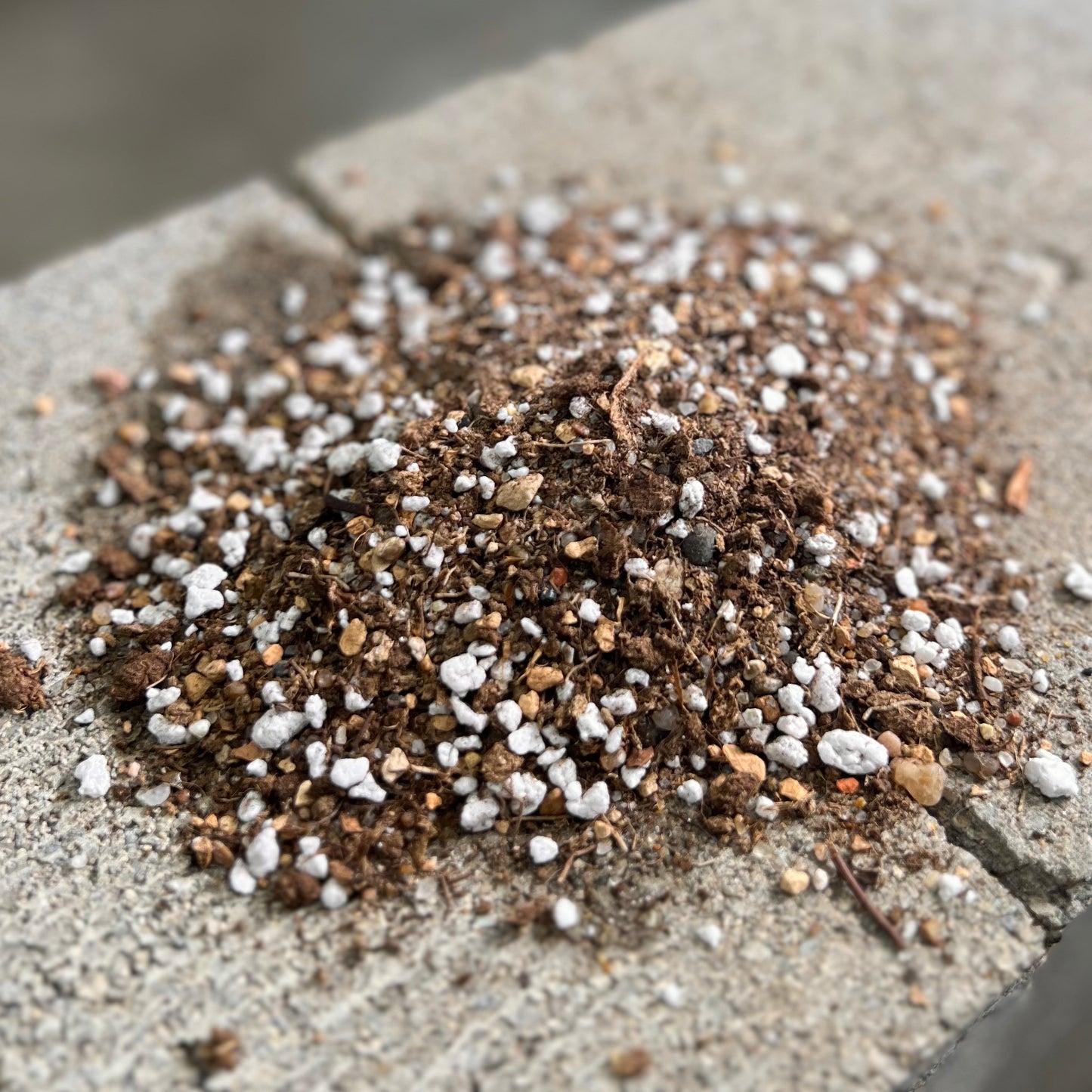 LeafLabs Carnivorous Potting Mix